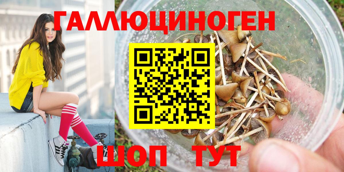 Псилоцибиновые грибы мухоморы  Вход с VPN  Приморско-Ахтарск 